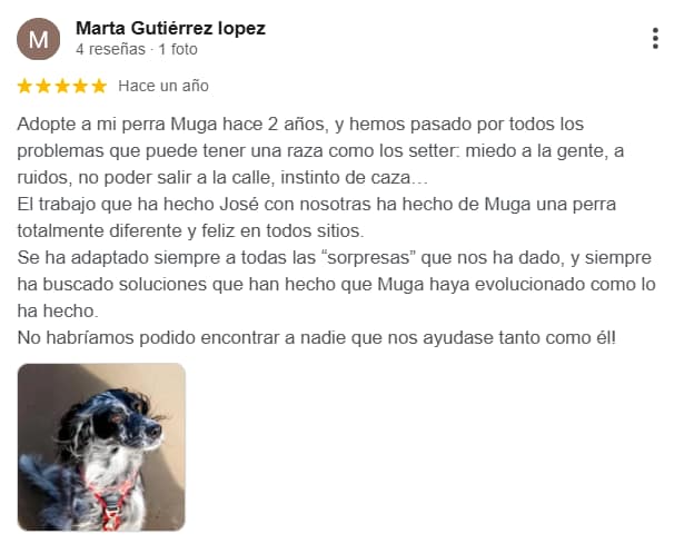 Reseña de Muga sobre trabajo de miedos y adaptación al entorno con Kni2 Educación Canina