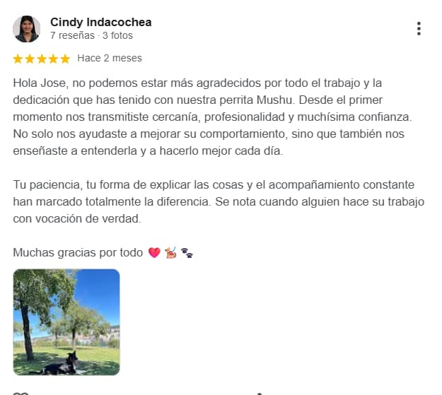 Reseña de Mushu sobre profesionalidad, confianza y acompañamiento con Kni2 Educación Canina